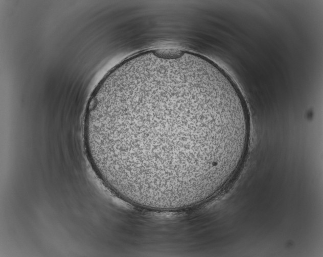 X0000116560949200912311930