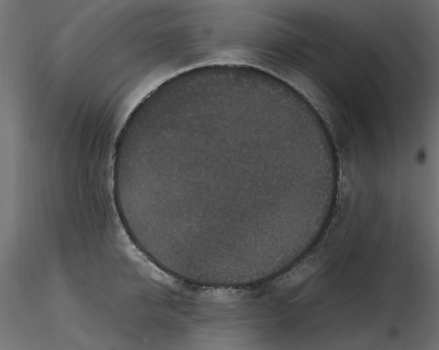 X0000116560950200912311930