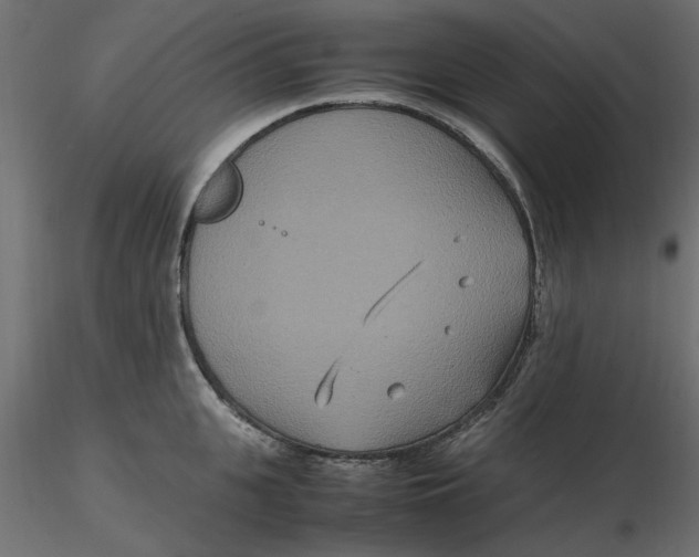 X0000116560951200912311930