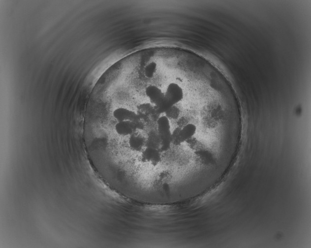 X0000116560953200912311930