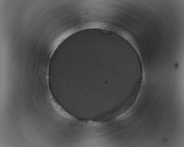 X0000116560954200912311930