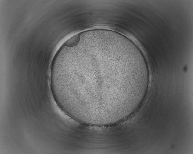 X0000116560955200912311930