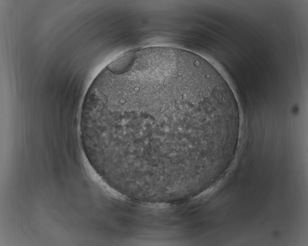 X0000116560957200912311930