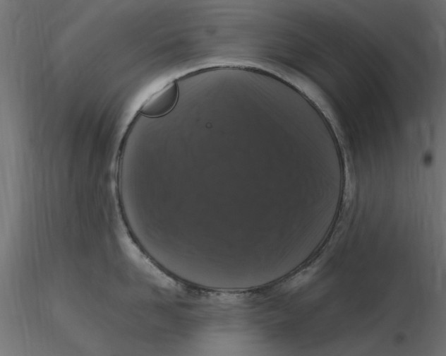 X0000116560958200912311930