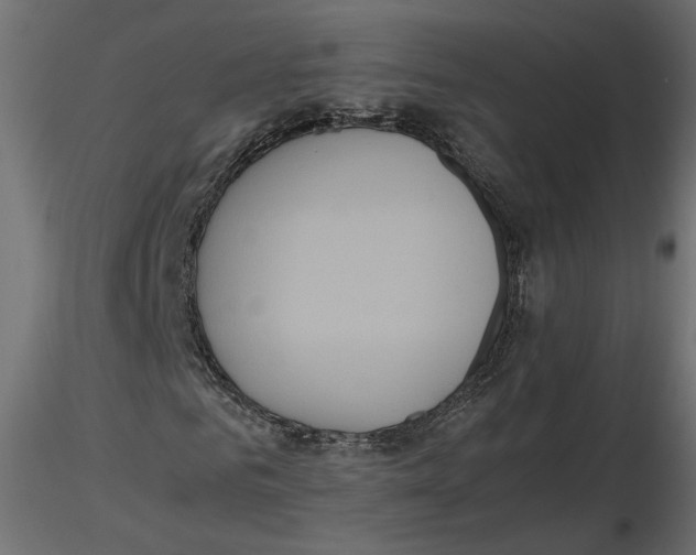 X0000116560961200912311929