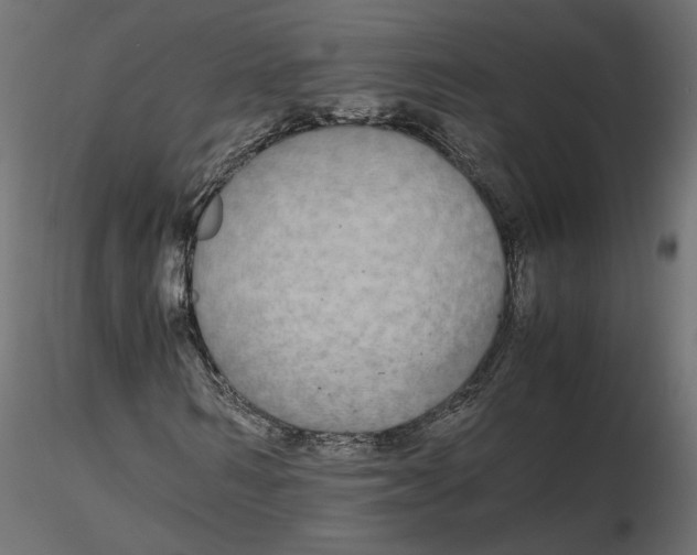 X0000116560962200912311929