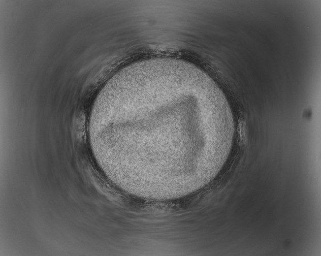 X0000116560963200912311929