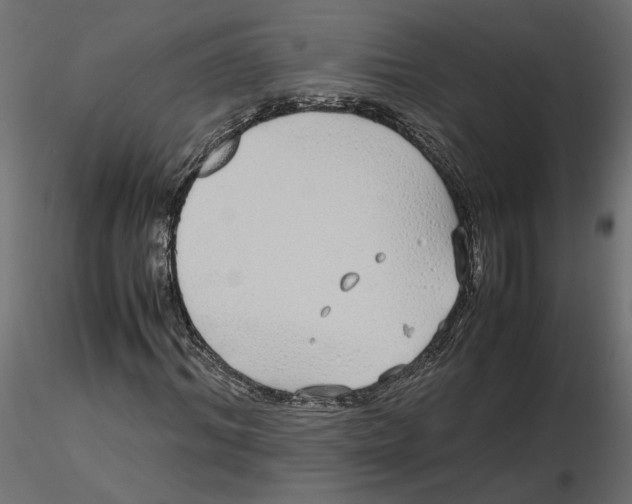 X0000116560964200912311929