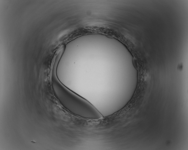 X0000116560965200912311929