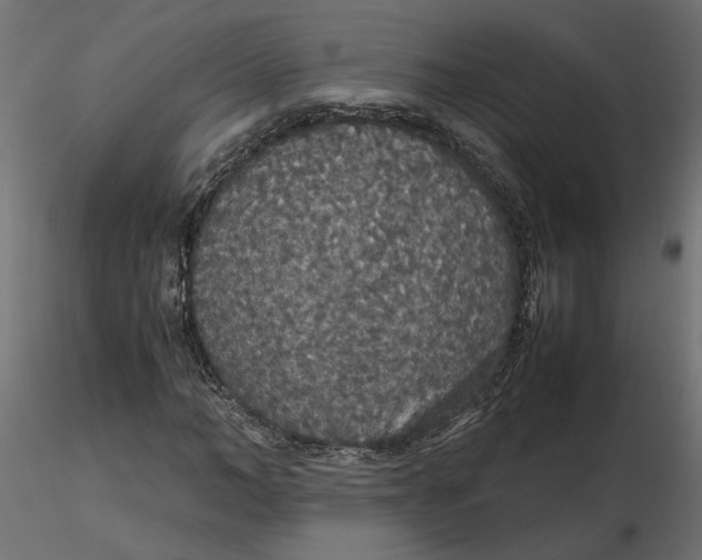 X0000116560966200912311929