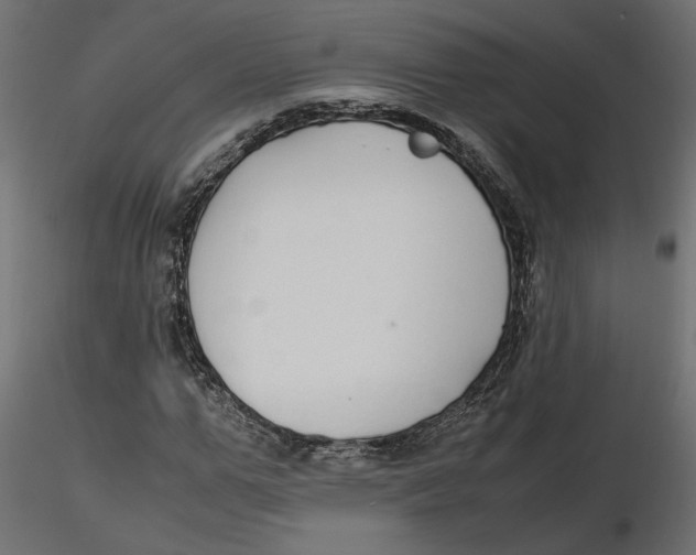 X0000116560967200912311929