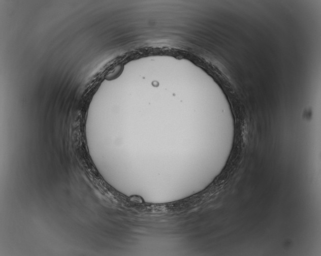 X0000116560968200912311929