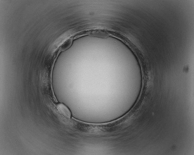 X0000116560969200912311929