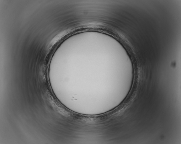 X0000116560970200912311929