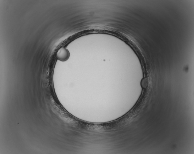 X0000116560971200912311929