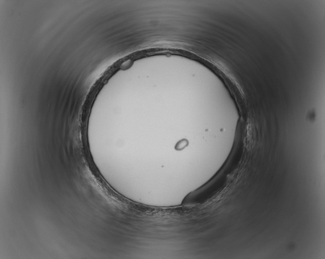 X0000116560972200912311929