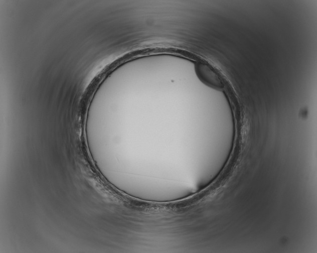 X0000116560973200912311929