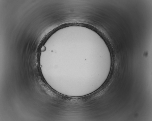 X0000116560974200912311929