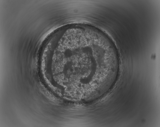 X0000116560975200912311929