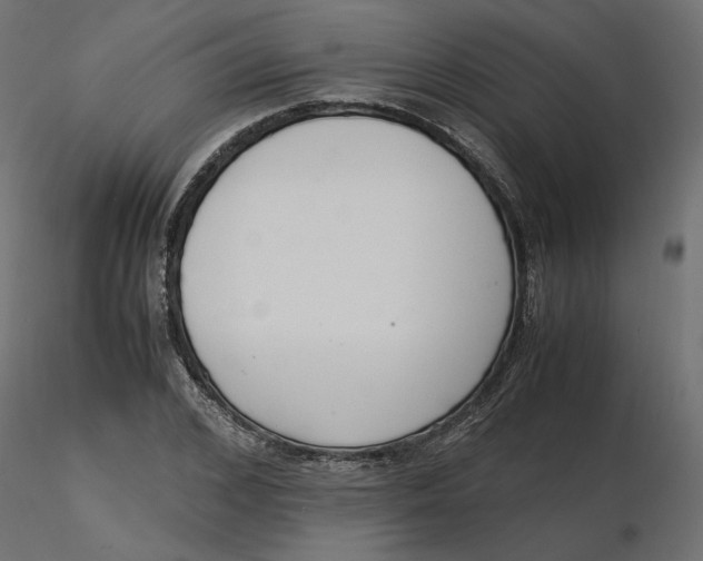 X0000116560976200912311929