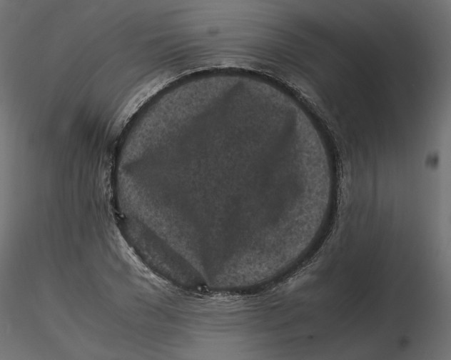 X0000116560977200912311929