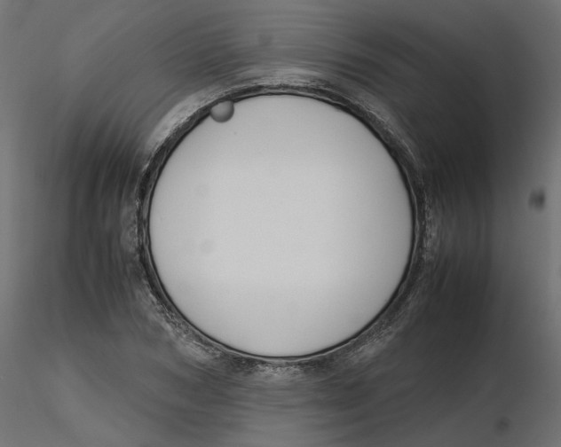 X0000116560978200912311929