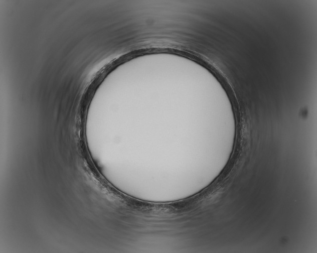 X0000116560979200912311929