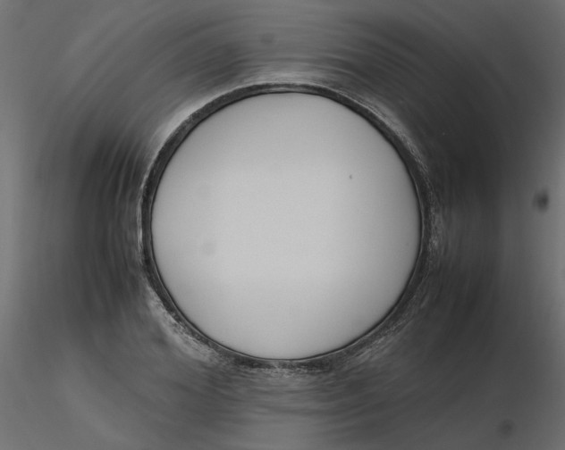 X0000116560980200912311929