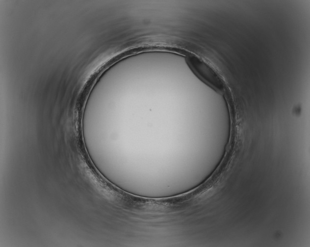 X0000116560981200912311929