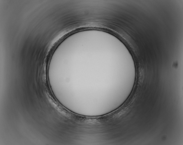 X0000116560982200912311929