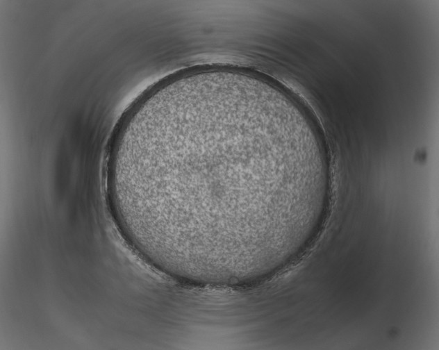 X0000116560983200912311929