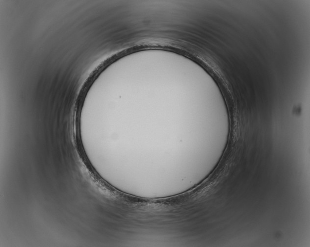 X0000116560984200912311929