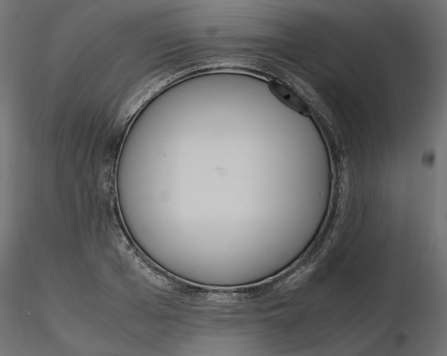 X0000116560985200912311929