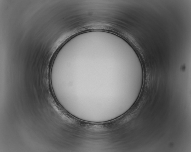 X0000116560986200912311929