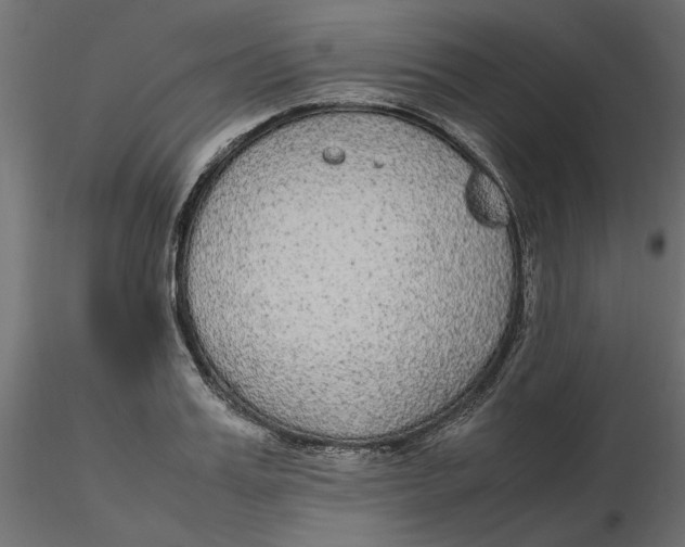 X0000116560987200912311929