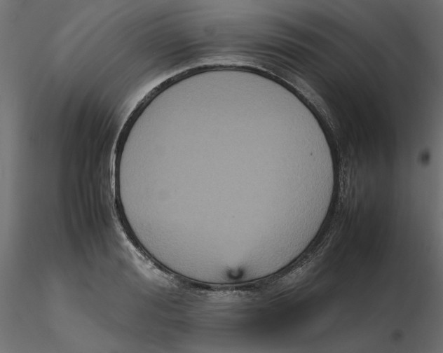 X0000116560988200912311929