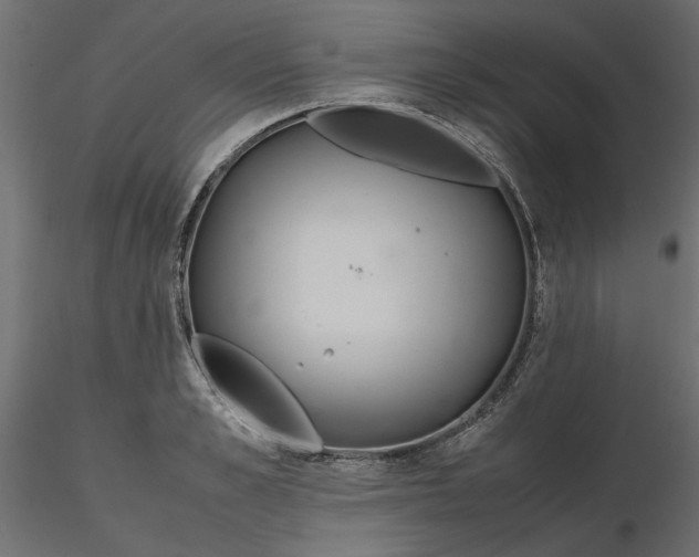 X0000116560989200912311929