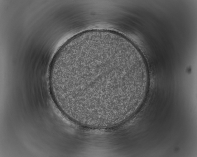 X0000116560990200912311929