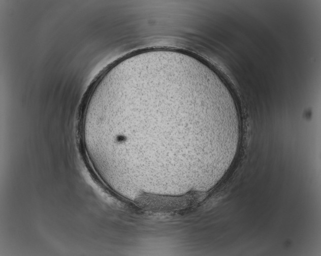 X0000116560991200912311929