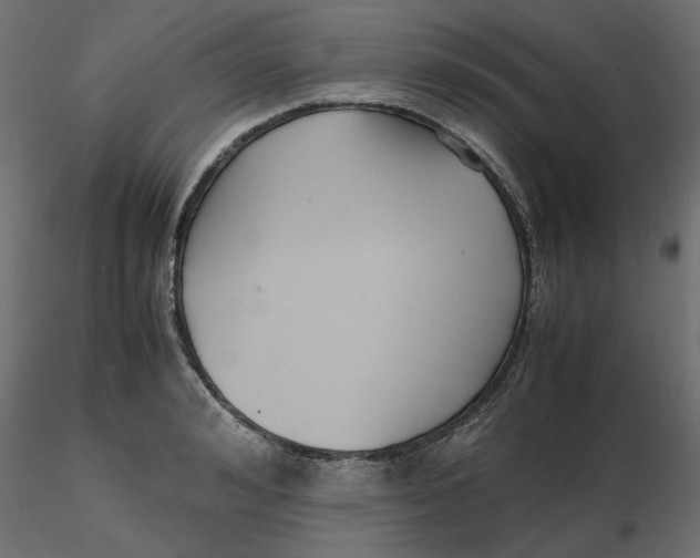 X0000116560992200912311929