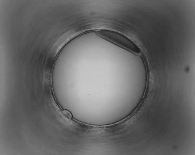 X0000116560993200912311929