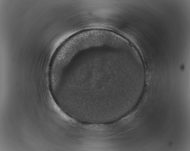 X0000116560995200912311929