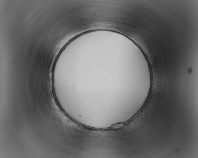 X0000116560996200912311929