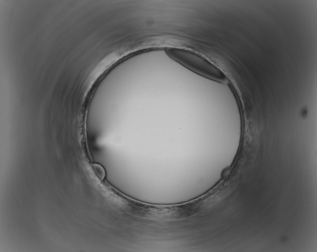 X0000116560997200912311929