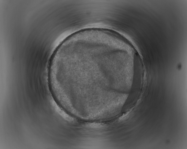 X0000116560998200912311929