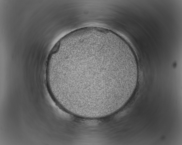 X0000116560999200912311929