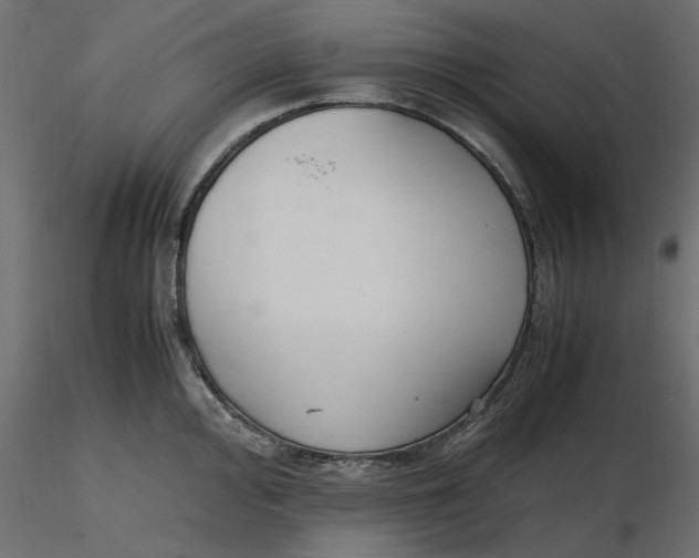 X0000116561000200912311929