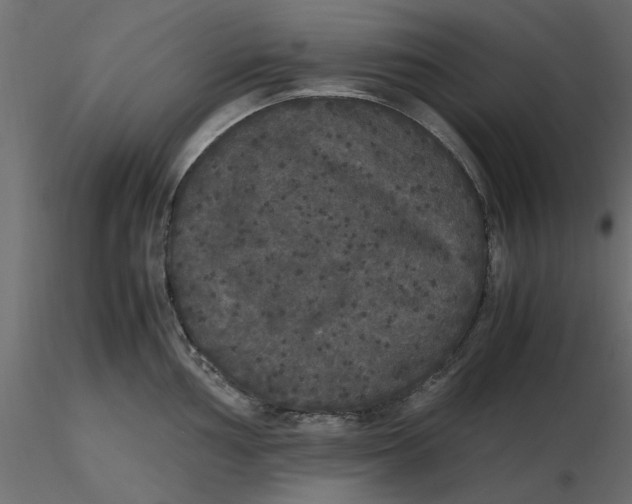 X0000116561002200912311928