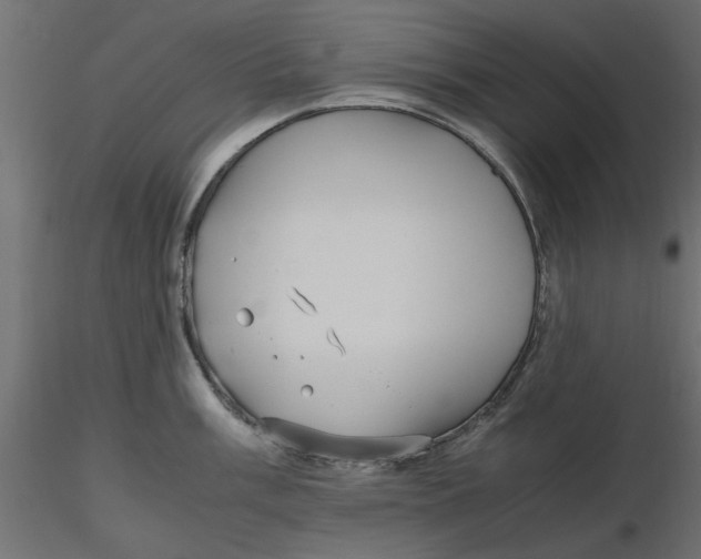 X0000116561003200912311928