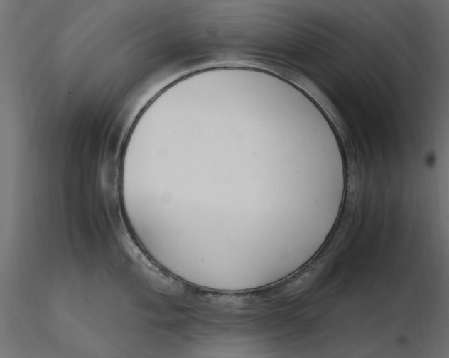 X0000116561004200912311928